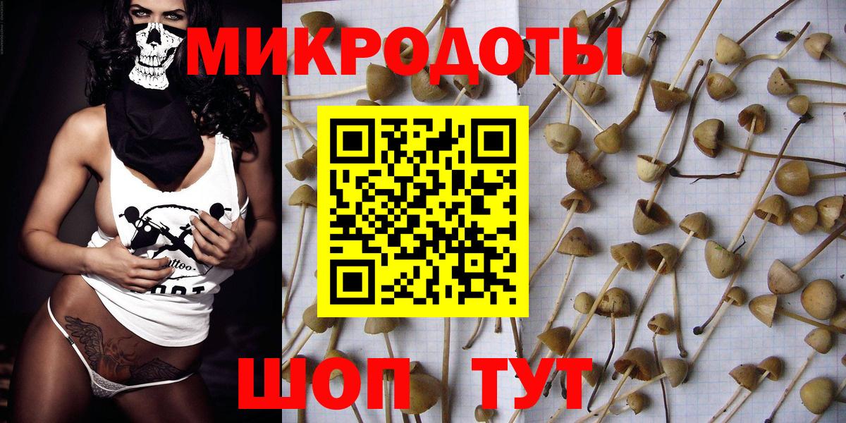 купить  сайты  Псилоцибиновые грибы Psilocybe  Вход с VPN  Туапсе 