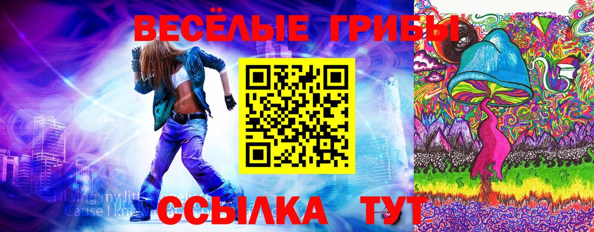 Псилоцибиновые грибы мицелий Туапсе